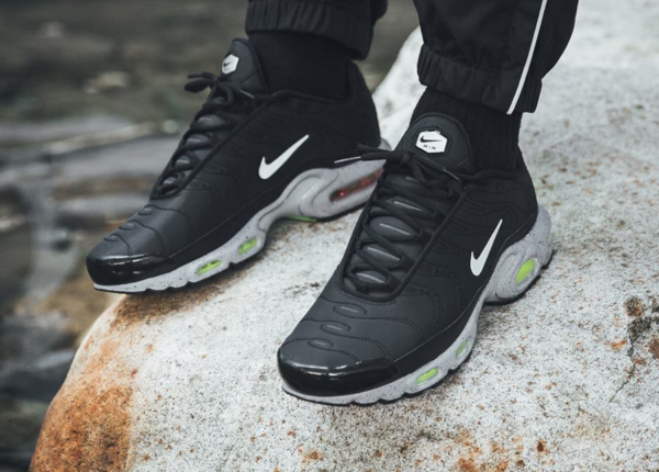Giày Nike Air Max Plus Premium 'Matte Silver' 815994-003 - Ảnh 5