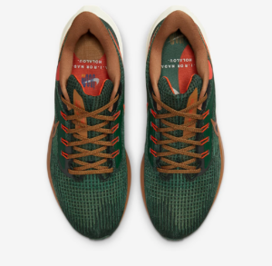 Giay Nike Air Zoom Pegasus 39 'A.I.R. Hola Lou' DO9500-300