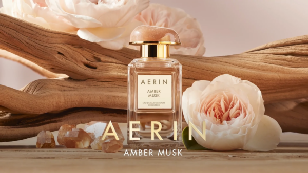 Nước Hoa Aerin Amber Musk EDP - Ảnh 2