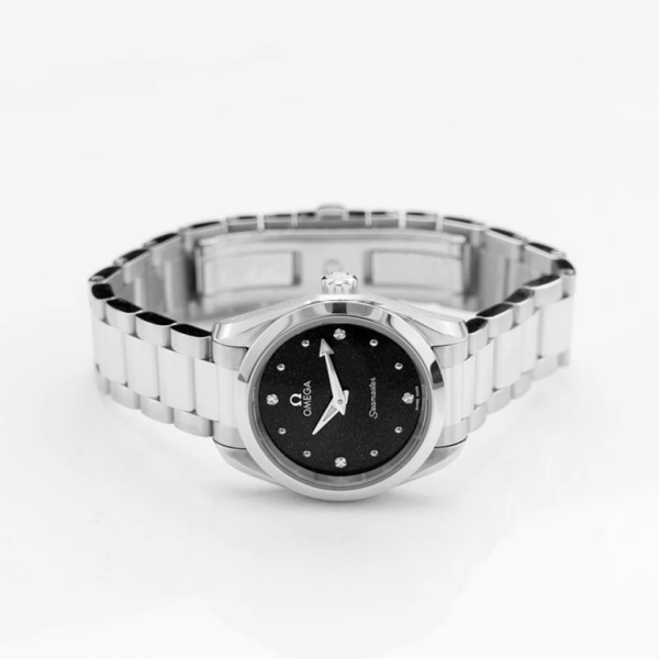 Đồng Hồ Omega Seamaster Aqua Terra 'Black' 220-10-28-60-51-001 - Ảnh 2