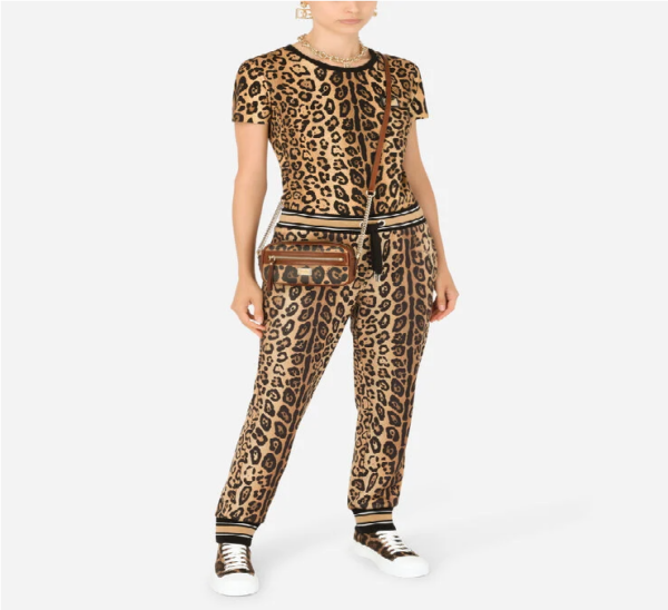 Túi Dolce & Gabbana Crespo 'Leopard Print' BB6931AW384HYNBM - Ảnh 3