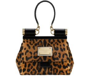 Túi Dolce & Gabbana Medium 90es 'Leopard Print'