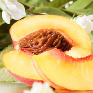 Alternative view of Nước Hoa Jo Malone Nectarine Blossom And Honey EDC