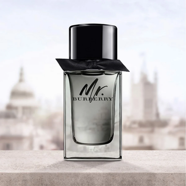 Nước hoa Burberry Mr For Men - Ảnh 4
