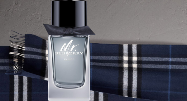 Nước hoa Burberry Mr Indigo - Ảnh 4