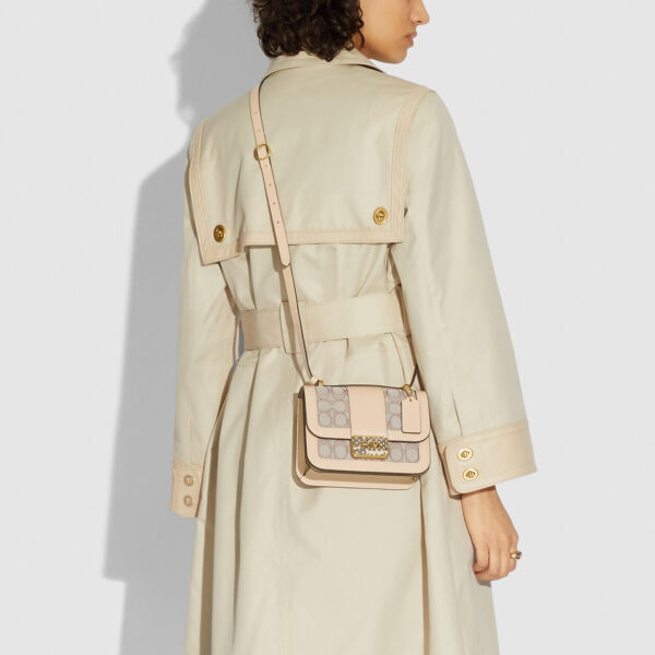 Túi Coach Alie 18 In Sinagture Jaccquard 'Snake Skin' C3760 B4SHG - Ảnh 2
