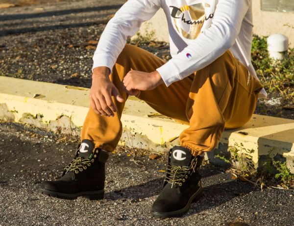 Giày Timberland Champion x 6 Inch Premium WP Warm Lined 'Black' TB0A1UD3-001 - Ảnh 4
