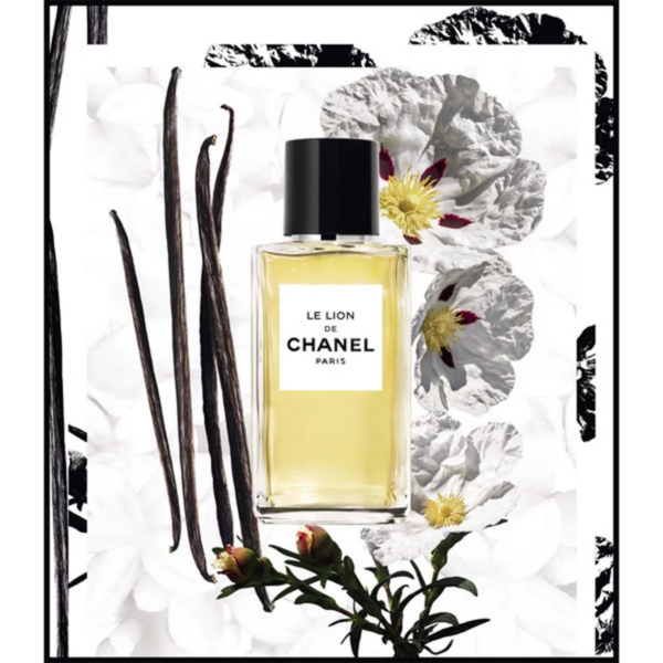 Nước Hoa Chanel Le Lion EDP - Ảnh 5