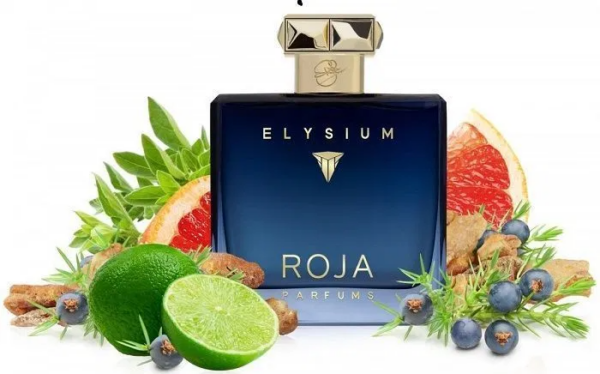 Nước Hoa Roja Elysium Parfum Cologne - Ảnh 3