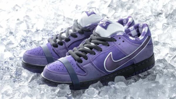 Giày Nike SB Dunk Low Concepts 'Purple Lobster' BV1310-555 - Ảnh 9