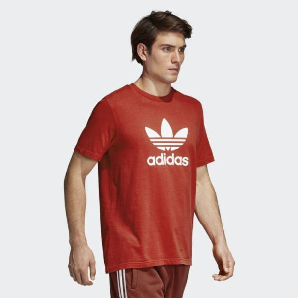 Áo Adidas Originals Adicolor CX1895 - Ảnh 3