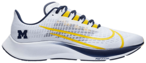 Giày Nike Air Zoom Pegasus 37 'Michigan' CZ5384-100