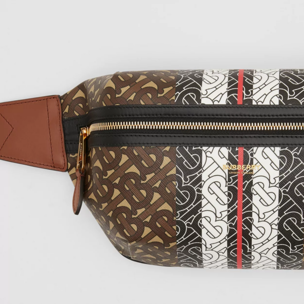 Túi Burberry Monogram Stripe Print Sonny Brown - Ảnh 5