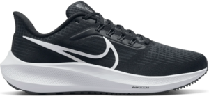 Giay Nike Pegasus 39 'Dark Smoke' DH4072-001