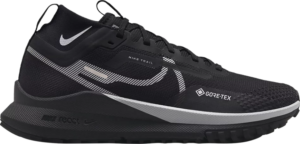Giay Nike React Pegasus Trail 4 GORE-TEX 'Black Silver' DJ7929-001