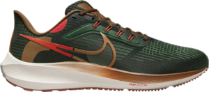 Giay Nike Air Zoom Pegasus 39 'A.I.R. Hola Lou' DO9500-300