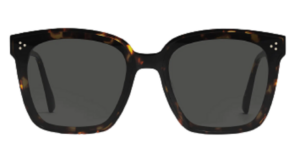 Kính Gentle Monster Dreamer 17 T1