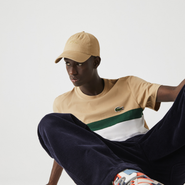 Áo Lacoste Colourblocked Panel Cotton T Shirt TH1884-FJM - Ảnh 2