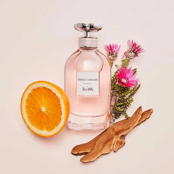 Nước Hoa Coach Dreams EDP - Ảnh 2