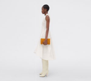 Tui Bottega Veneta Cassette 'Cob' 667298VCQ717723