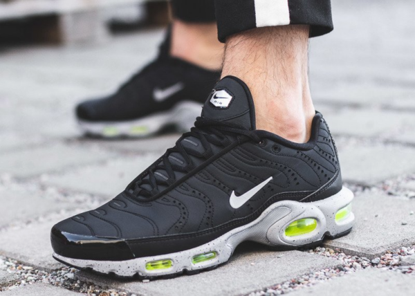 Giày Nike Air Max Plus Premium 'Matte Silver' 815994-003 - Ảnh 6