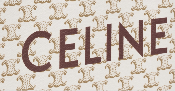 Túi Celine Cabas Vertical Calfskin 'White' 191542BZK-01BC - Ảnh 5