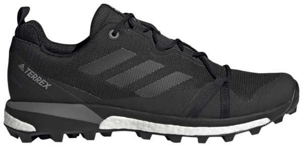 Giày Adidas Terrex Skychaser LT GTX 'Carbon' F36099
