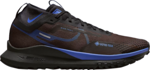 Giay Nike React Pegasus Trail 4 G-TEX 'Velvet Brown Blue' FB2193-200