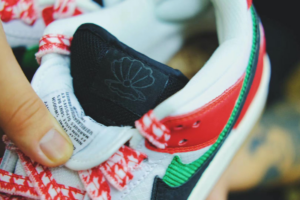 Giay Nike Frame Skate x Dunk Low SB 'Habibi' CT2550-600