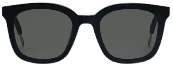 Kính Gentle Monster Papas 01