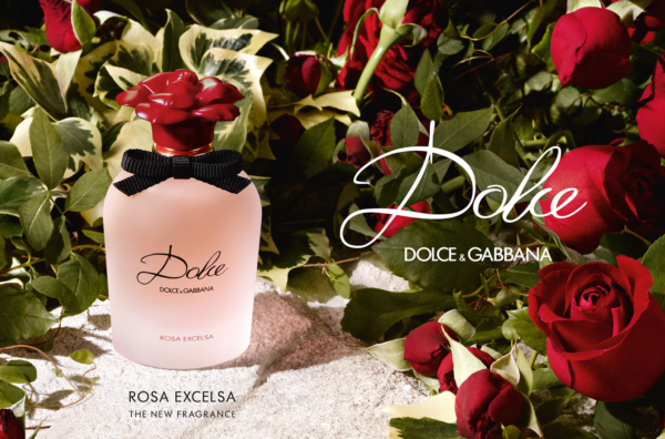 Nước Hoa Dolce & Gabbana Rosa Excelsa EDP - Ảnh 4