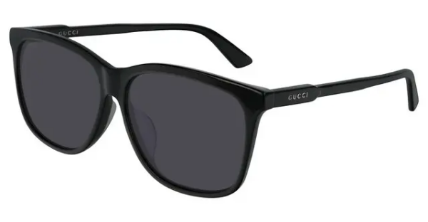 Kính Gucci 'Black' GG0495SA-001 - Ảnh 2