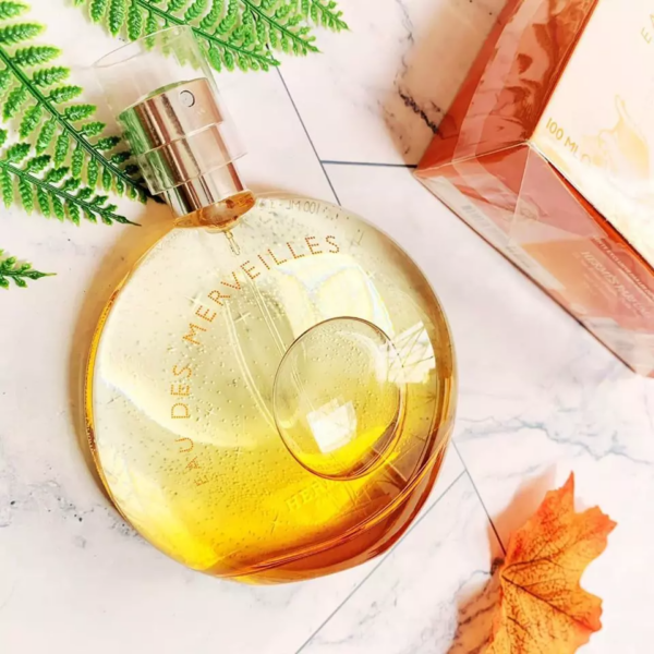 Nước Hoa Hermes Eau Des Merveilles EDT - Ảnh 4