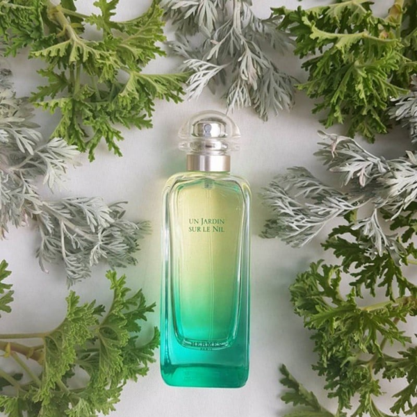 Nước Hoa Hermes Un Jardin Sur Le Nil EDT - Ảnh 3