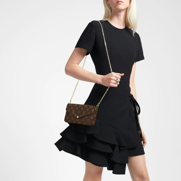 Túi Louis Vuitton Pochette Felicie Monogram M61276 - Ảnh 3