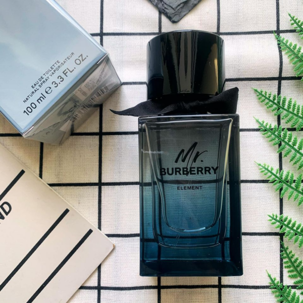 Nước hoa Burberry Mr Element EDT - Ảnh 3