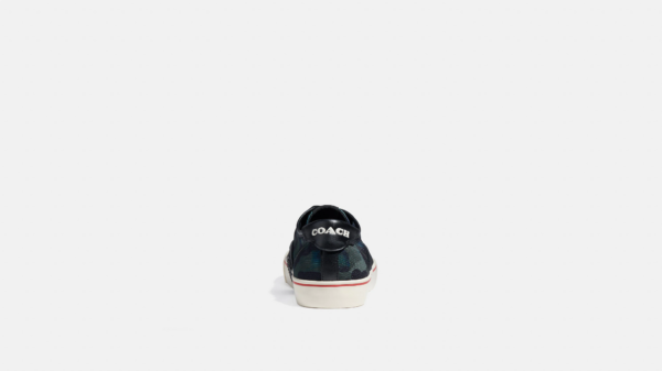 Giay Coach Skate Lace Up Mesh 'Wildbeast' CA277-R54