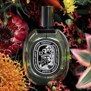 Alternative view of Nước Hoa Diptyque Volutes EDP