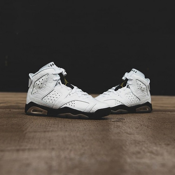 Giày Nike Air Jordan 6 Retro BG 'Alligator' 384665-110 - Ảnh 8