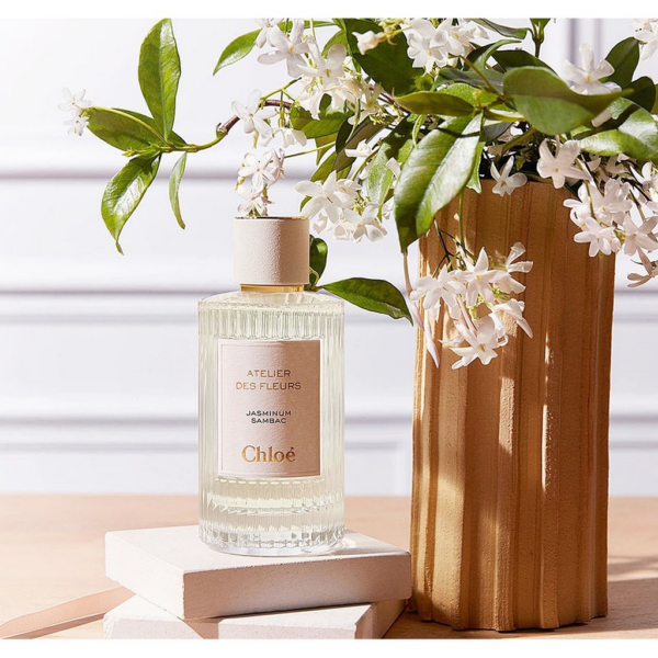 Nước Hoa Chloe Atelier Des Fleurs Cedrus EDP - Ảnh 3
