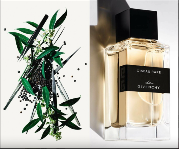 Nước Hoa Givenchy Oiseau Rare EDP - Ảnh 3