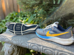 Giay Nike Air Zoom Pegasus 39 Premium 'Obsidian Yellow' DO9580-400