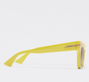 Kinh Bottega Veneta Wing Yellow Brown 579058V23307410