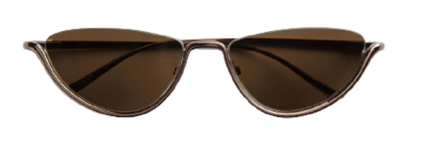 Kinh Bottega Veneta Underline Brown 659458V44502069