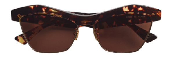 Kinh Bottega Veneta Slant Havana 668007V23312986