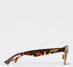 Kinh Bottega Veneta Slant Havana 668007V23312986