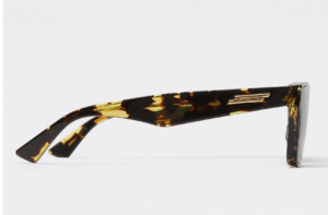 Kinh Bottega Veneta Classic Havana Brown 669571V23302819