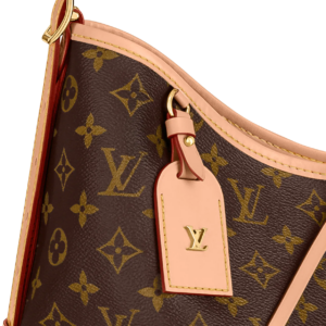 Tui Louis Vuitton CarryAll MM Bag 'Brown' M46197