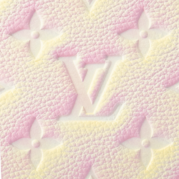 Tui Louis Vuitton Multi Pochette Accessoires 'Pink' M46093