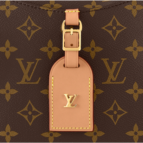 Tui Louis Vuitton Odeon MM Bag 'Brown' M45355